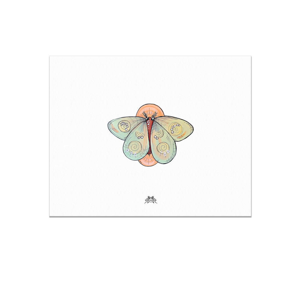 Fine Art Print: Moth (2 Sizes)