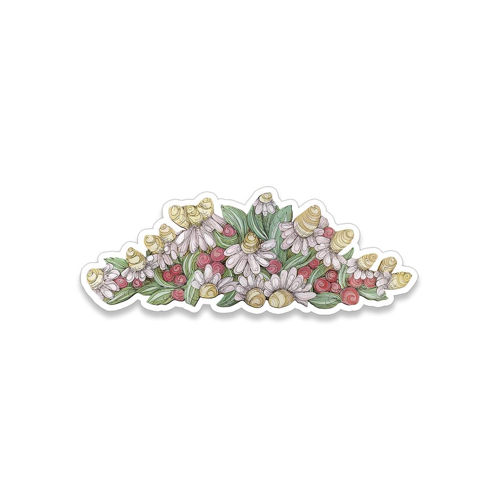 Echinacea Florals